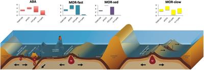 Hydrothermal Energy Transfer and Organic Carbon Production at the Deep Seafloor